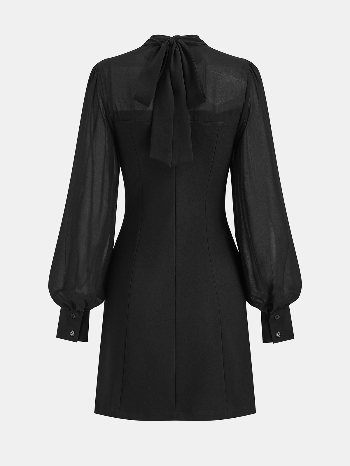 Sheer Chiffon Paneled A-Line Mini Dress
